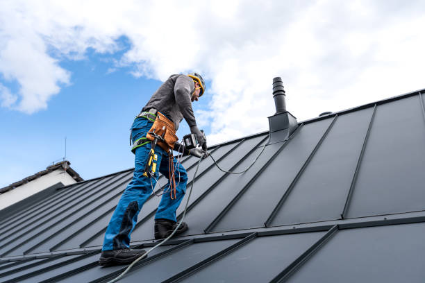 Best Roof Maintenance and Cleaning  in Lake Mohegan, NY